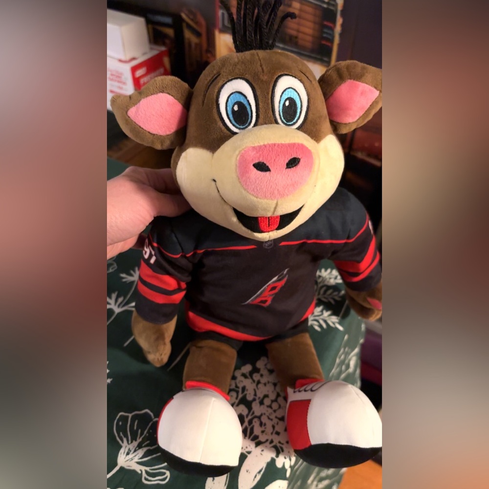 NHL STORMY Carolina Hurricanes 18-19 inch Plush Toy